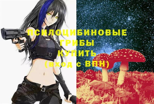 стафф Алексеевка