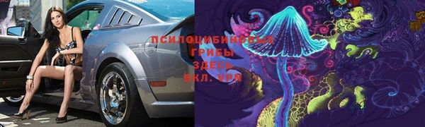 прущая мука Алексин