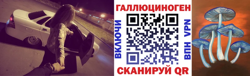 Галлюциногенные грибы прущие грибы  Лаишево 