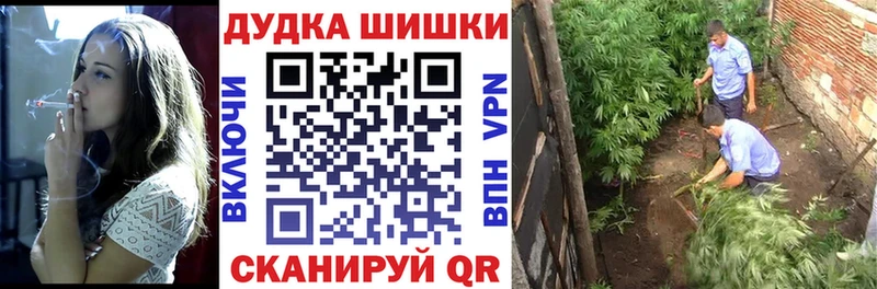 Бошки марихуана план  закладка  Лаишево 